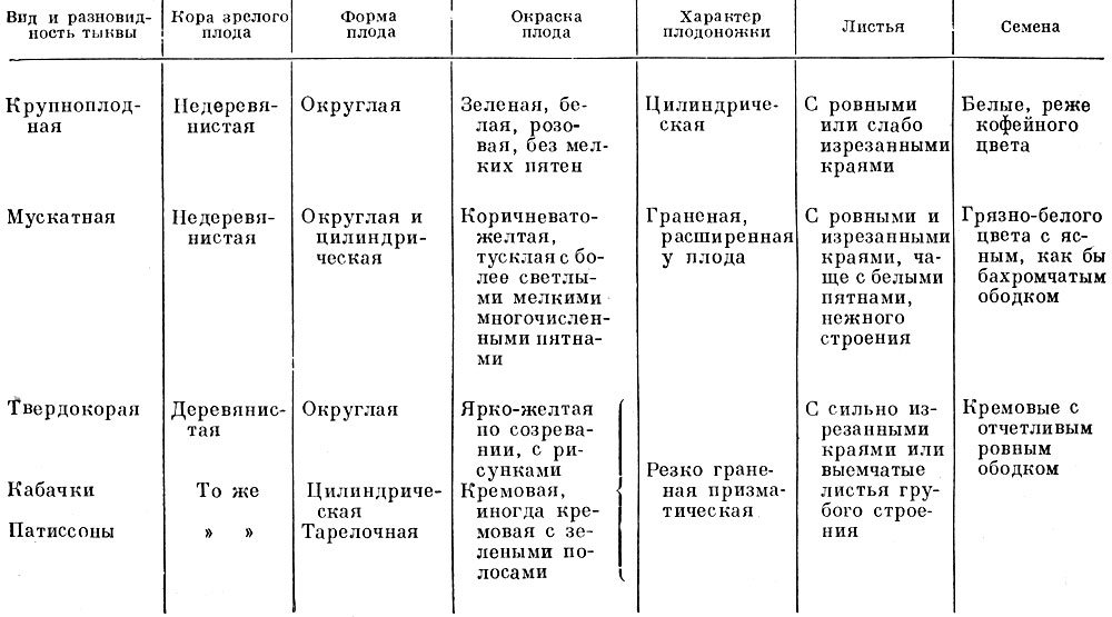 Таблица 14. Определитель тыкв